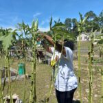 BFAM-Black-owned-non-profit-organization_community-care-2_community-garden